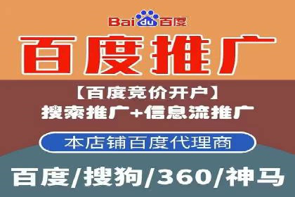 揭秘百度竞价代理：实战案例分析